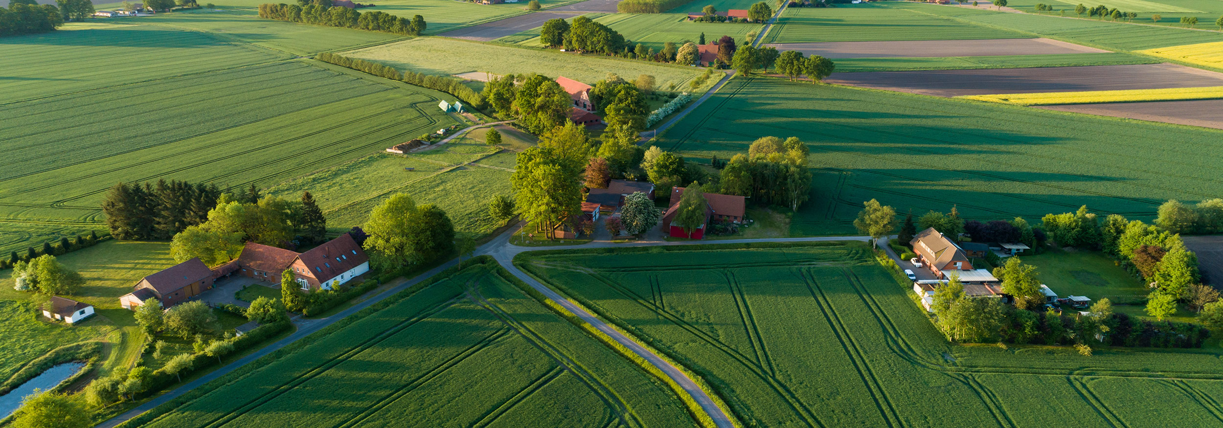 Luftbild mehrere Häuser und Felder im ländlichem Gebiet
